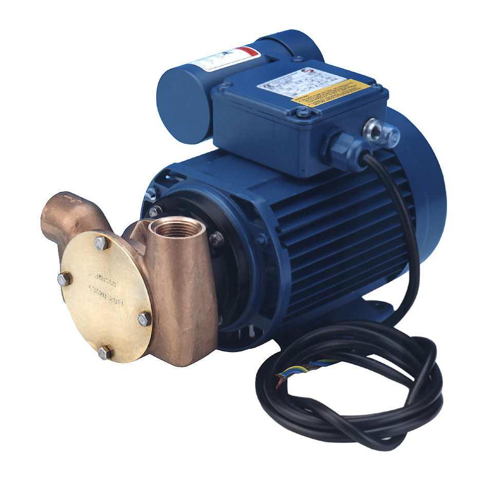 Schmutzwasserpumpe Impellerpumpe